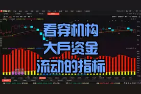 主力状态；唯一一个看穿机构，大户资金流动的指标，操作得心应手视频封面