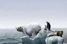 为什么全球变暖？寻找地球温度长期发生变化的主要原因！视频封面