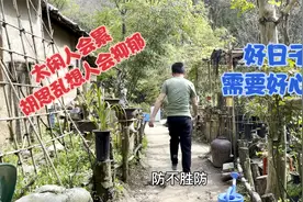 一个人的日子好过，别让自己闲着，闲着会胡思乱想，忙起来能健康视频封面
