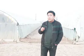 鹅瘸腿的诱因多变，养殖阶段瘸腿老张建议补钙？讲解阶段补钙方法视频封面