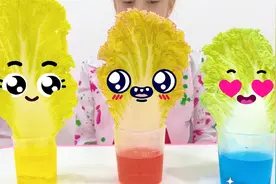 会变色的大白菜！这个科学小实验真神奇，自己在家动手就能做视频封面