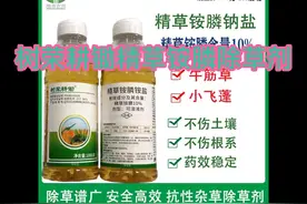 树荣耕锄精草铵膦除草剂视频封面
