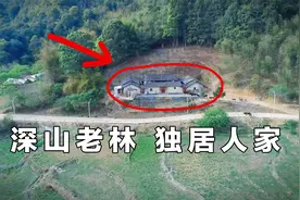 贵州山区有一人家，世世代代放牛，收入百万，从未离开过山区！视频封面