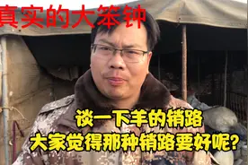 网友不知道上哪卖羊，谈一下我们这羊的销售途径，大家觉得那种好视频封面