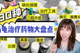 30种乌龟疾病治疗药物盘点及使用注意事项！养龟人必看建议收藏！视频封面