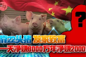 河南女首富，靠养猪年赚2000亿，带领10万户农民脱贫致富视频封面