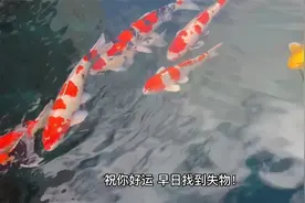 小六壬神奇寻物术：玄门预测法助你找回失物，轻松解决烦恼！