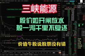 三峡能源提示风险后，股价如开闸泄洪一样，一泻千里不复还。视频封面