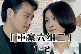 《重案六组第二部》1-2六组侦破海达集团案，杨震惊险命悬一线视频封面