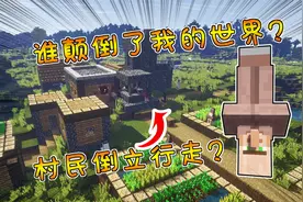 我的世界：MC冷知识盘点！命名牌的特殊用法，村民还能倒立洗头！