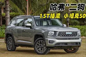 哈弗二代大狗轴距2.81米，内饰酷似坦克500，1.5T插混续航1000km视频封面