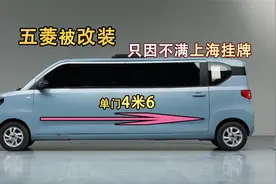 宏光Mini被网友改装出4.6米的车长！网友：因不满上海电车挂牌！