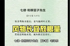 牢骚太盛防肠断，风物长宜放眼量。视频封面