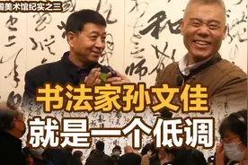 司马南 | 中国美术馆纪实之三：书法家孙文佳就是一个低调视频封面