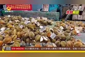 病因找到了！广西“毒榴莲”事件后续：“真凶”是它|世界大不同