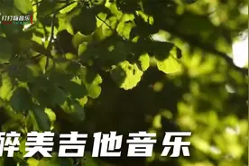 10首醉美吉他纯音乐视频封面