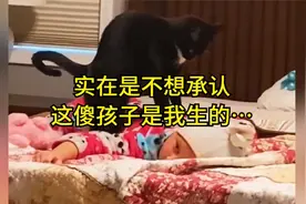 实在是不想承认这傻孩子是我生的……