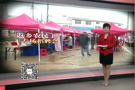 株洲荷塘区：返乡农民工专场招聘会 普遍放宽年龄要求视频封面