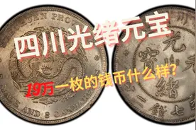 四川光绪元宝川龙龙洋，19万元一枚的钱币长什么样？视频封面