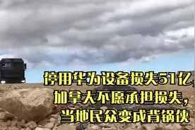 停用华为设备损失51亿，加拿大不愿承担损失，当地民众变成背锅侠视频封面