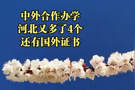 河北新增了4个中外合作办学，有的发国外证书视频封面