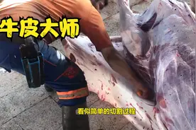 国外街头割牛皮大师，刀工行云流水，2分钟就能把牛皮完整取下！