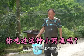 老爸从河里捞起来半桶小鱼，乐乐用大铁锅一煎一焖，连汤都好喝视频封面