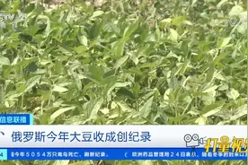 俄罗斯今年大豆收成创纪录|经济信息联播视频封面