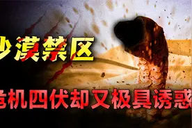 神秘的沙漠到底有多可怕？毒物就在脚底，甚至出现巨型蠕虫视频封面