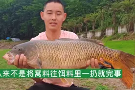 野钓打窝钓10斤大鱼，这2个技巧必备，绝不是窝料丢下水就爆连！视频封面