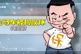 宝马轿车被狗咬坏，车险拒赔，有依据吗？视频封面