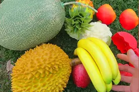认识榴莲等7种水果蔬菜视频封面