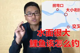 水面很大鲤鱼该怎么钓？十年实战总结两个技巧，新手看懂也能狂拉视频封面