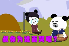 大叔为何在妻子前夫坟前痛哭视频封面