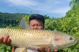 秋季野钓大鱼，这3招选位技巧偷偷用，100米内大鱼挨个拿下！视频封面