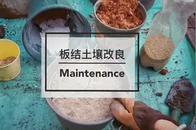 【技能分享】板结土壤就不能要了吗？改良小妙招，一看就明白！