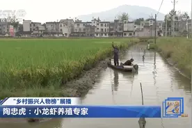 高级工程师养小龙虾带动15万人增收致富视频封面