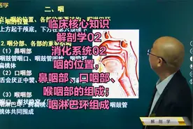 消化系统02咽的位置，鼻咽部、口咽部、喉咽部组成，咽淋巴环组成视频封面