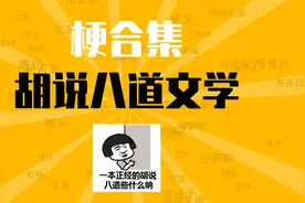 胡说八道文学是什么梗【梗合集】【梗知识】【梗百科】视频封面