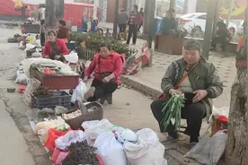 西安秦岭脚下老奶奶卖山货，拐枣柿子只需2元，旁边就是千年银杏视频封面