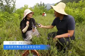 打卡京西农耕休闲农业线路视频封面