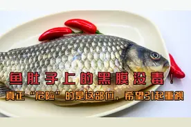 鱼肚子上的黑膜没毒！真正“危险”的是这部位，希望引起重视视频封面