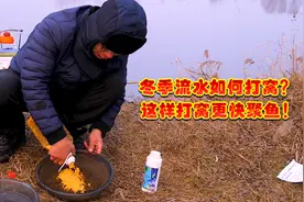 遇到流水活水该如何打窝？这个打窝方法可以帮到你，诱鱼快聚鱼多