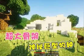 我的世界：发现巨大骨块，这会是什么生物的遗体呢？