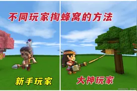 迷你世界：不同玩家掏蜂窝的方法，新手被蜜蜂消灭，大神毫发无伤