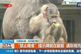 假期文明出游了吗？“禁止喂食”提示牌就在眼前 请别视而不见！视频封面