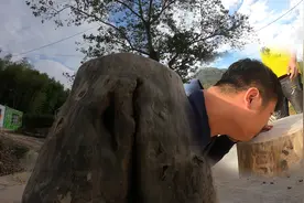村里的打野大师将几十年的香樟树做成凳子，我出价三十块钱视频封面