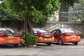 广东知名驾校猪兼强破产！待退学费预估近2亿，3万学员被坑惨视频封面
