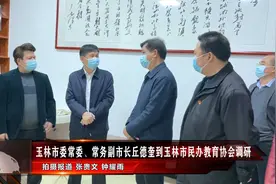 玉林市委常委、常务副市长丘德奎到玉林市民办教育协会调研视频封面