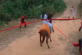 游侠：小子习练成绝世武功，怎料刚下山就打遍天下无敌手，厉害视频封面